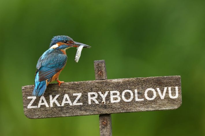 ZÁKAZ RYBOLOVU