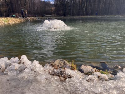 Rybolov na dírkách